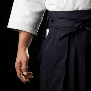 Aikido Videos